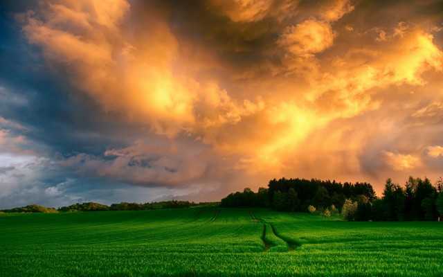 Nature. Desktop wallpaper
