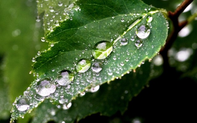 Nature. Desktop wallpaper