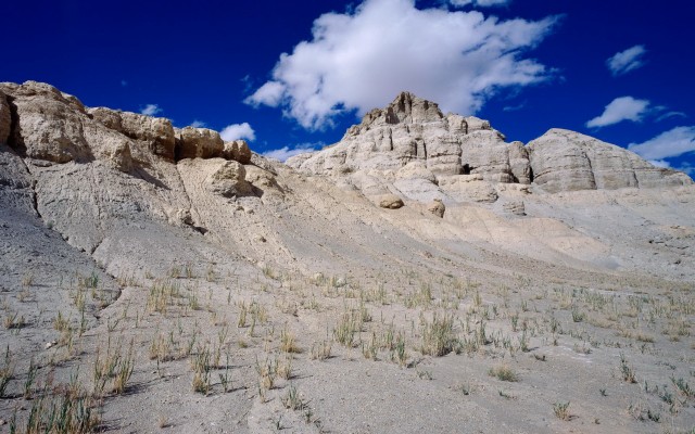 Nature. Desktop wallpaper