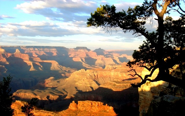 Nature. Desktop wallpaper