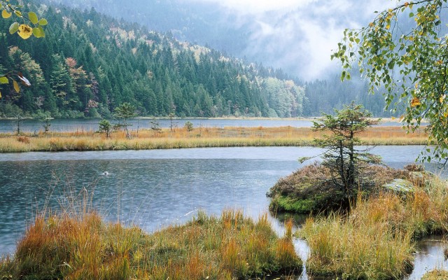 Nature. Desktop wallpaper