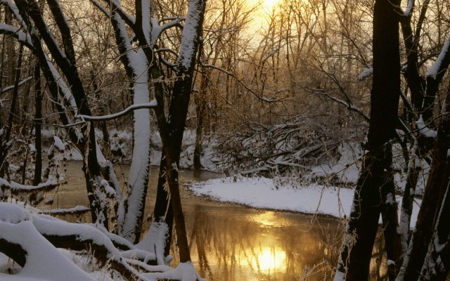 Nature. Desktop wallpaper