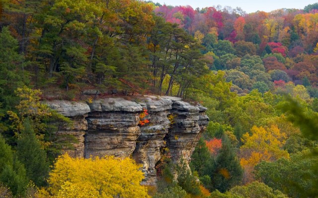 Nature. Desktop wallpaper