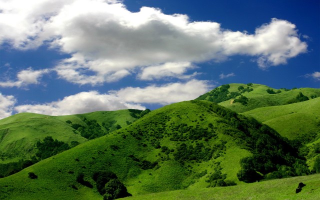 Nature. Desktop wallpaper