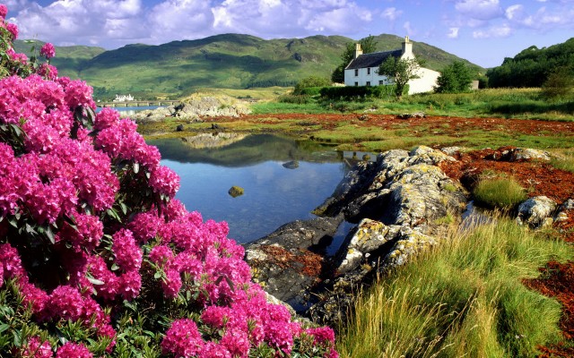 Nature. Desktop wallpaper