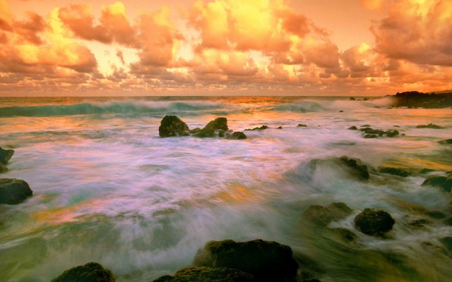 Nature. Desktop wallpaper