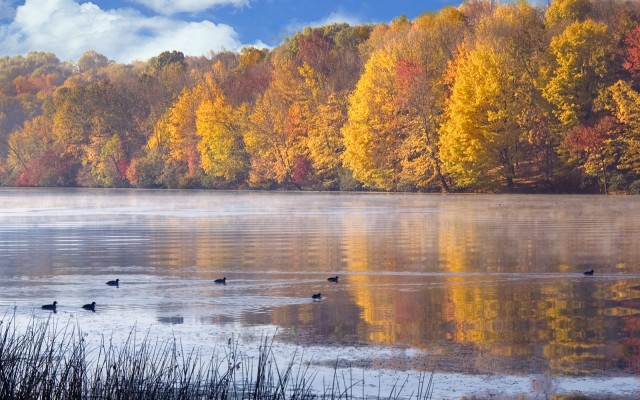 Nature. Desktop wallpaper
