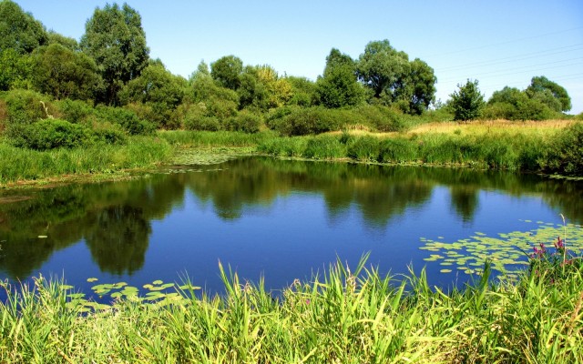 Nature. Desktop wallpaper