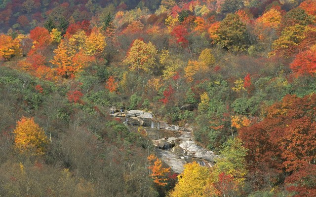 Nature. Desktop wallpaper