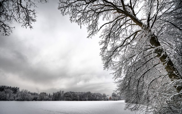 Nature. Desktop wallpaper