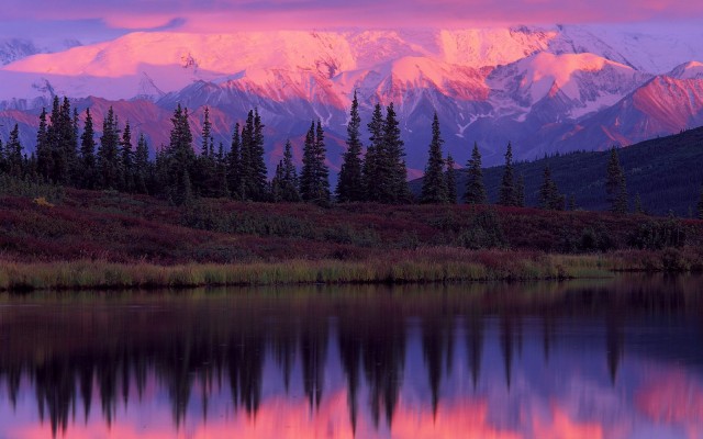 Nature. Desktop wallpaper