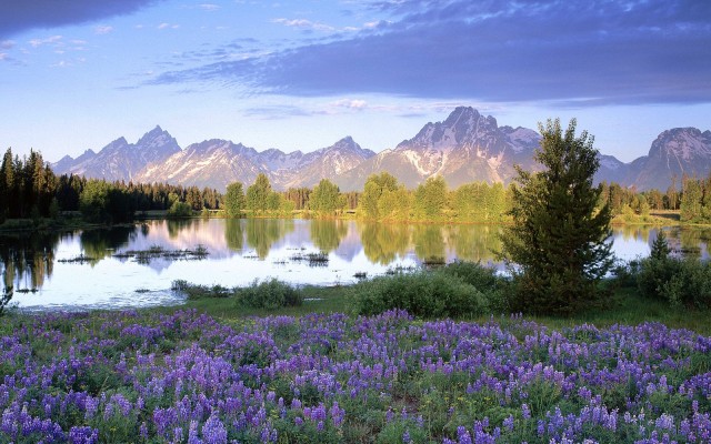 Nature. Desktop wallpaper