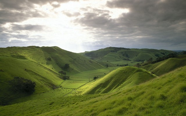 Nature. Desktop wallpaper