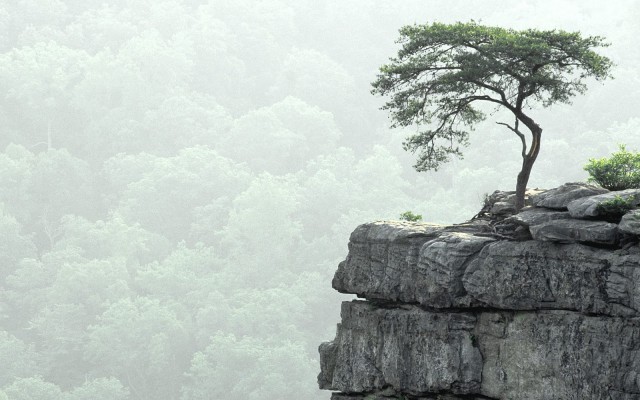 Nature. Desktop wallpaper