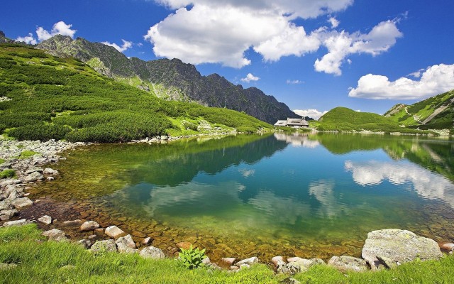 Nature. Desktop wallpaper