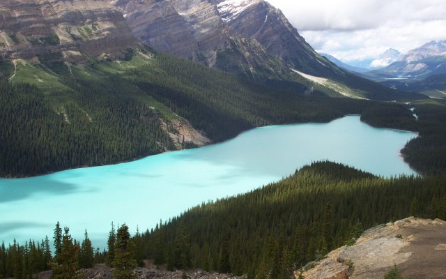 Nature. Desktop wallpaper