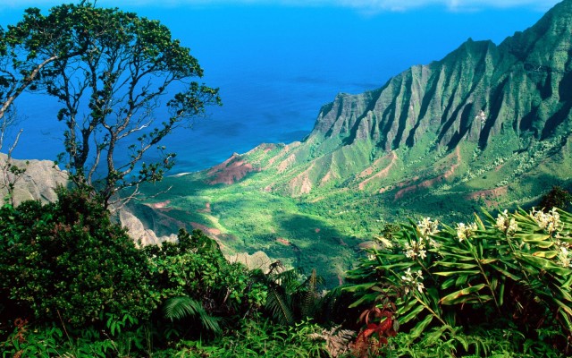 Nature. Desktop wallpaper
