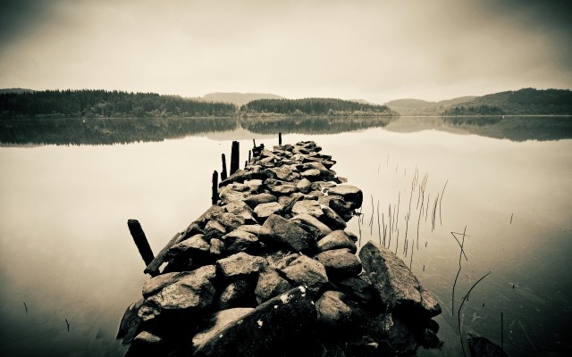 Nature. Desktop wallpaper