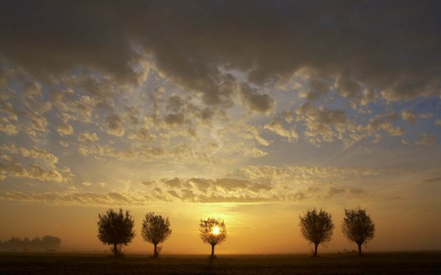 Nature. Desktop wallpaper