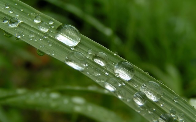 Nature. Desktop wallpaper