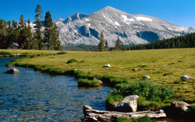 Nature. Desktop wallpaper