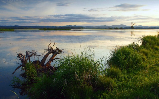 Nature. Desktop wallpaper