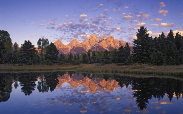 Nature. Desktop wallpaper