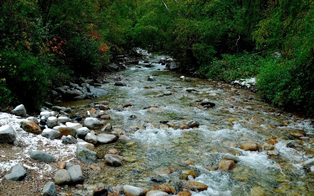 Nature. Desktop wallpaper