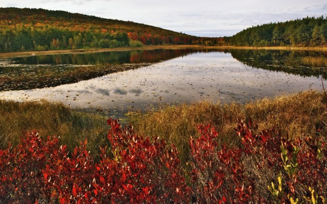 Nature. Desktop wallpaper