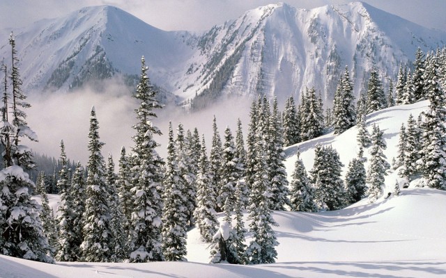 Nature. Desktop wallpaper