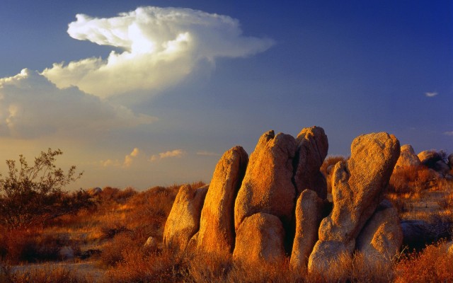 Nature. Desktop wallpaper