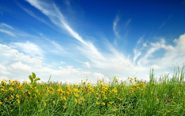 Nature. Desktop wallpaper