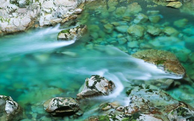 Nature. Desktop wallpaper