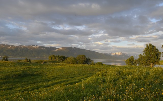 Nature. Desktop wallpaper
