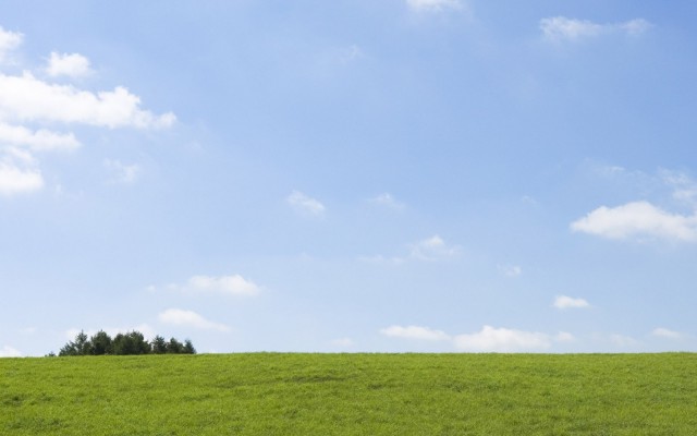 Nature. Desktop wallpaper