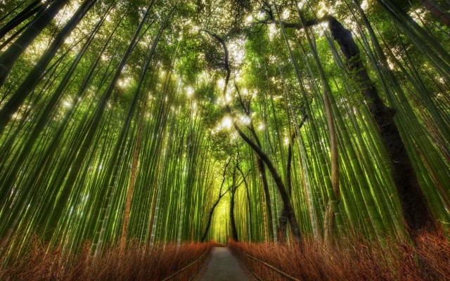 Nature. Desktop wallpaper