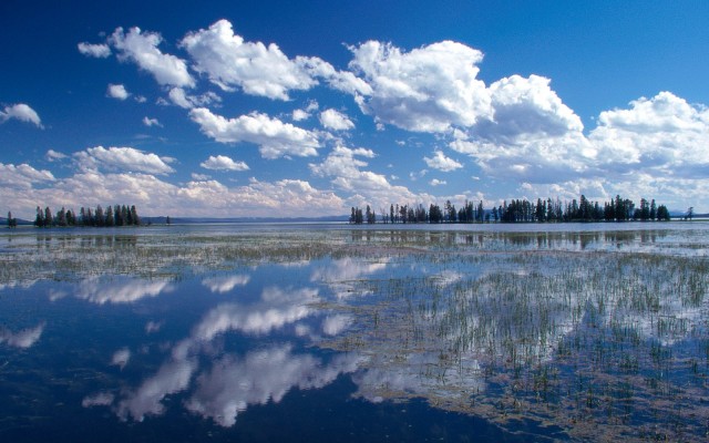 Nature. Desktop wallpaper