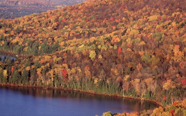 Nature. Desktop wallpaper