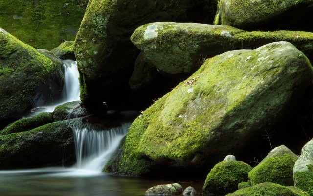 Nature. Desktop wallpaper