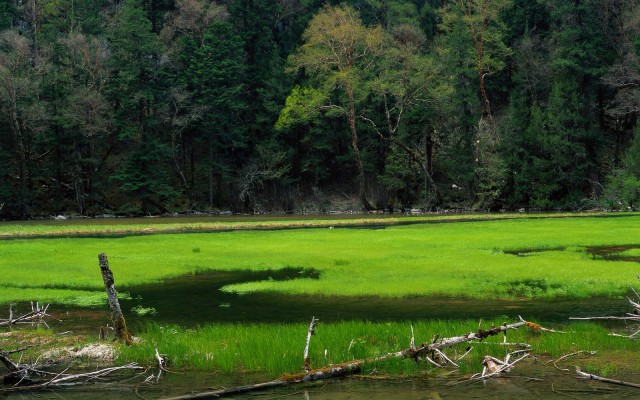 Nature. Desktop wallpaper