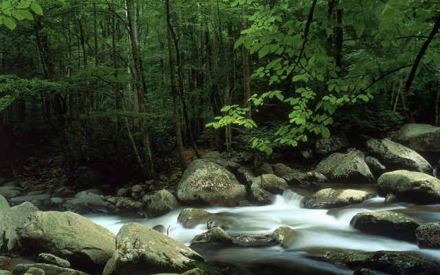 Nature. Desktop wallpaper