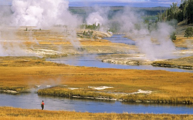 Nature. Desktop wallpaper