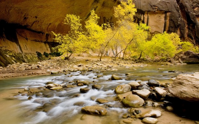 Nature. Desktop wallpaper