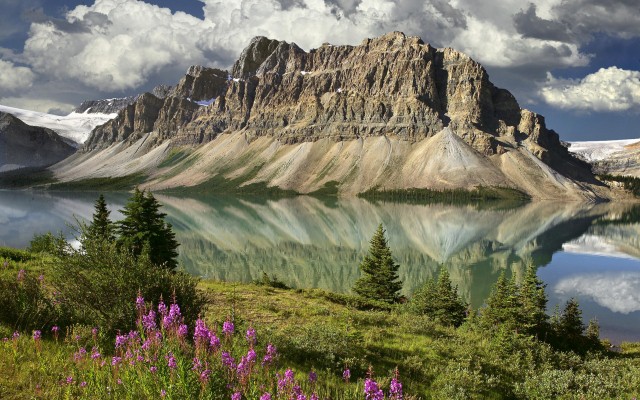 Nature. Desktop wallpaper