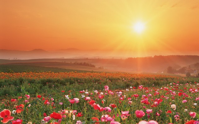 Nature. Desktop wallpaper