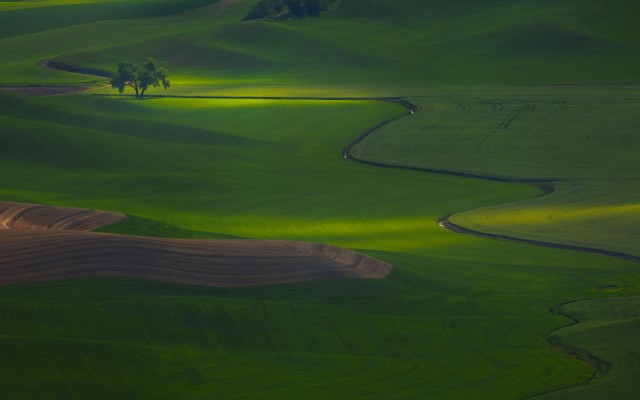 Nature. Desktop wallpaper