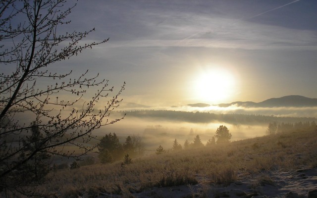 Nature. Desktop wallpaper