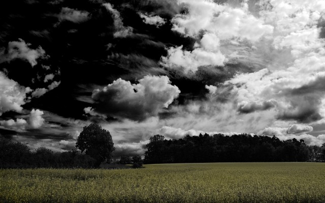 Nature. Desktop wallpaper