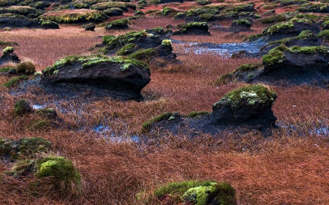 Nature. Desktop wallpaper