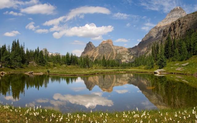 Nature. Desktop wallpaper